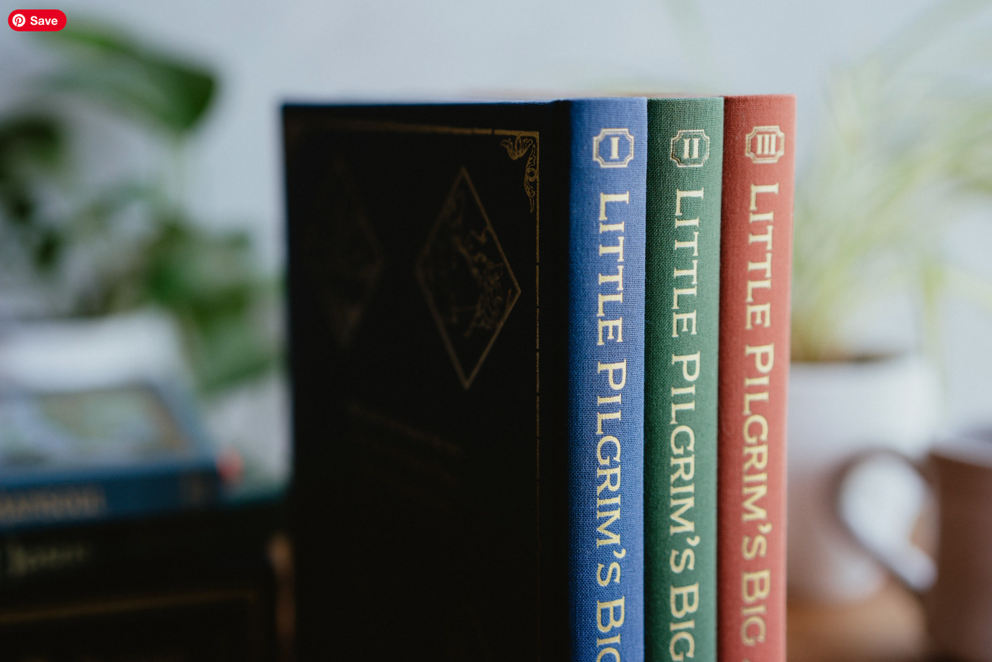 Little Pilgrim's Big Journey: The Complete Box Set