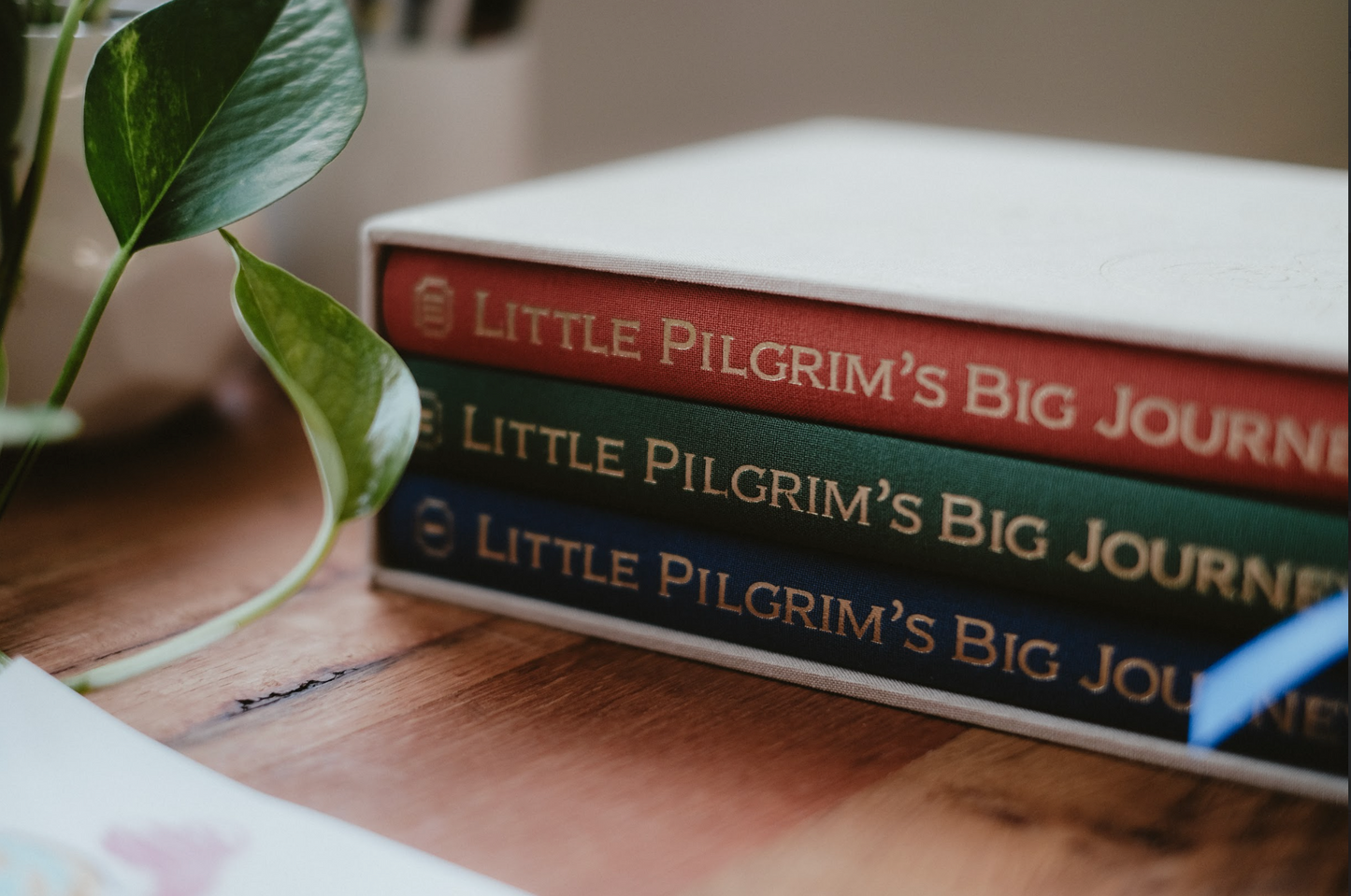 Little Pilgrim's Big Journey: The Complete Box Set