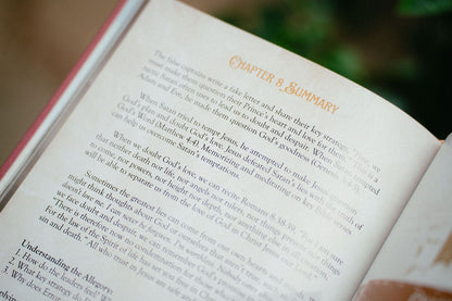 The Mansoul Chronicles, Book 2: The Schemes & Snares of Diabolus