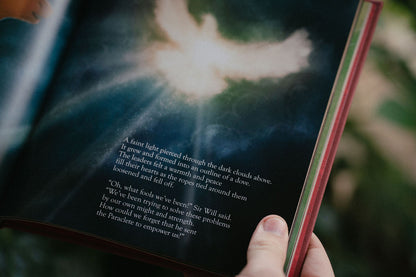 The Mansoul Chronicles, Book 2: The Schemes & Snares of Diabolus