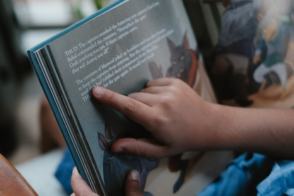 The Mansoul Chronicles, Book 1: The Fall and Rise of Mansoul